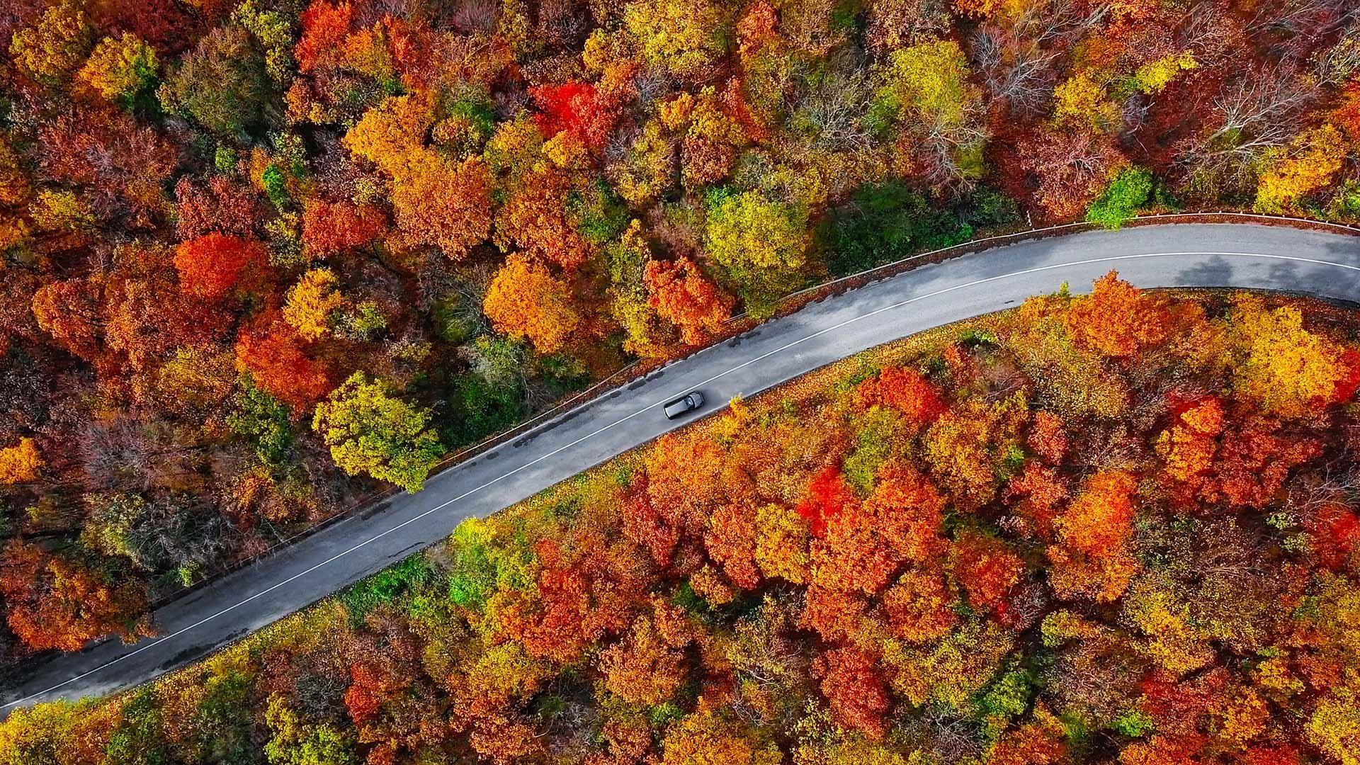 Aerial landscape with road and autumn foliage Aerial landscape with road and autumn foliage